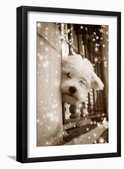 Peering Out of Window-null-Framed Photographic Print