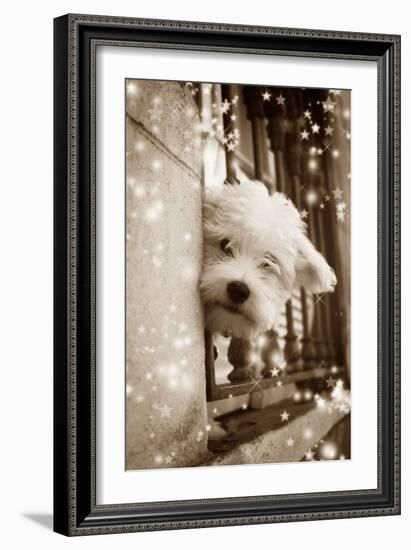 Peering Out of Window-null-Framed Photographic Print