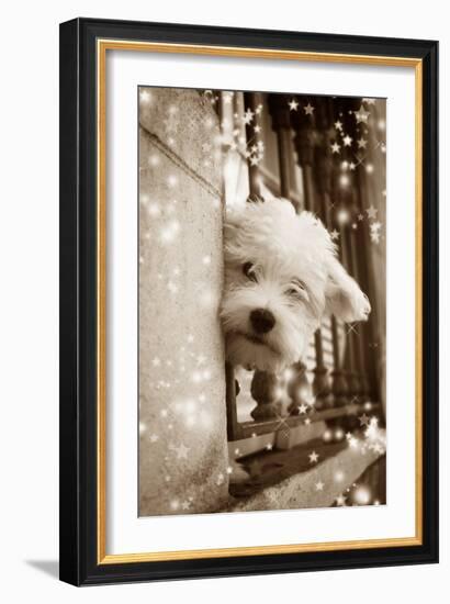 Peering Out of Window-null-Framed Photographic Print