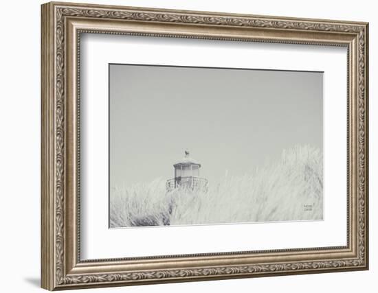 Peering Over BW-Nathan Larson-Framed Photographic Print