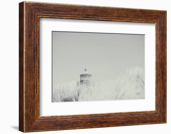 Peering Over BW-Nathan Larson-Framed Photographic Print