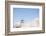 Peering Over-Nathan Larson-Framed Photographic Print