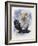 Peerless-Barbara Keith-Framed Giclee Print