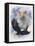 Peerless-Barbara Keith-Framed Premier Image Canvas