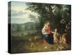 Stretched Canvas Print