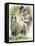 Peevish-Barbara Keith-Framed Premier Image Canvas