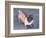 Peewee-Herb Dickinson-Framed Photographic Print