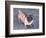 Peewee-Herb Dickinson-Framed Photographic Print