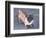 Peewee-Herb Dickinson-Framed Photographic Print