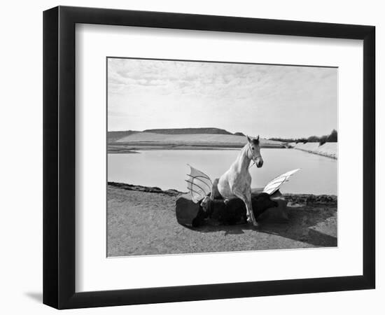 Pegasus 1, 2015-Jaschi Klein-Framed Photographic Print