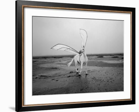 Pegasus 2-Jaschi Klein-Framed Photographic Print