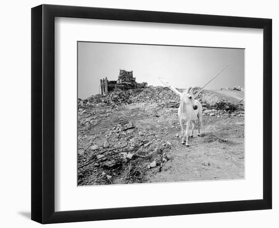 Pegasus 3, 2015-Jaschi Klein-Framed Photographic Print