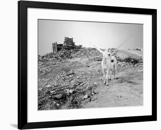 Pegasus 3, 2015-Jaschi Klein-Framed Photographic Print