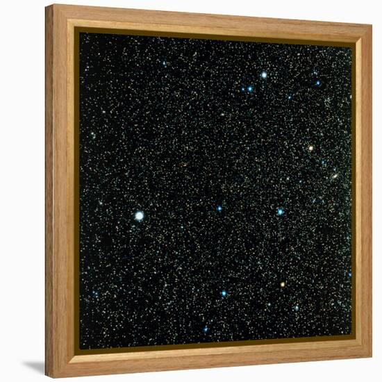 Pegasus Constellation-null-Framed Premier Image Canvas