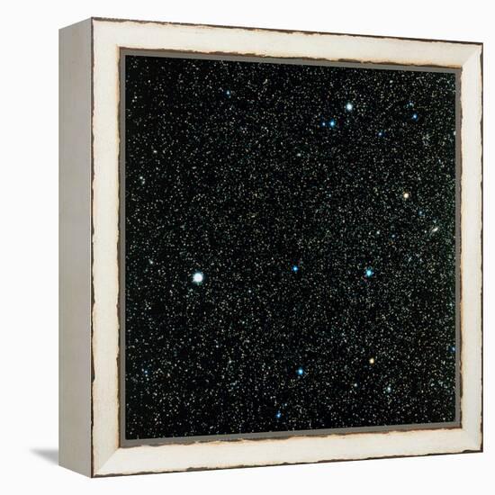 Pegasus Constellation-null-Framed Premier Image Canvas