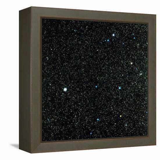 Pegasus Constellation-null-Framed Premier Image Canvas