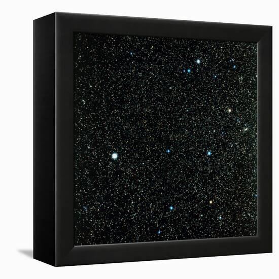 Pegasus Constellation-null-Framed Premier Image Canvas