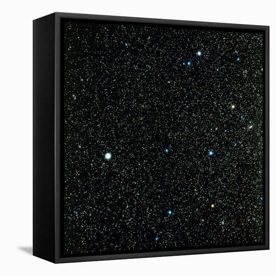 Pegasus Constellation-null-Framed Premier Image Canvas