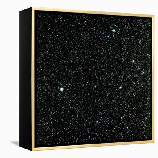 Pegasus Constellation-null-Framed Premier Image Canvas