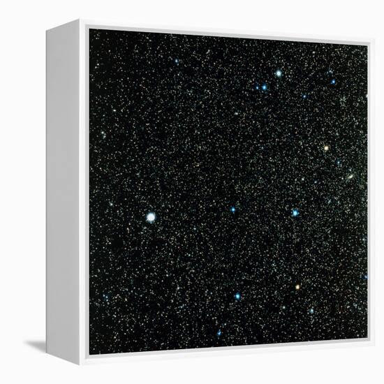 Pegasus Constellation-null-Framed Premier Image Canvas