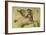 Pegasus-Jacopo de'Barbari-Framed Giclee Print