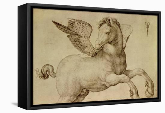 Pegasus-Jacopo De Barbari-Framed Premier Image Canvas