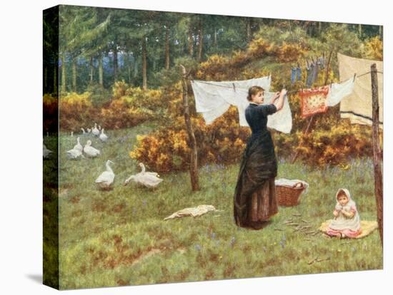 Stretched Canvas Print, , large