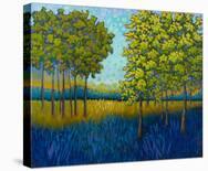 Beyond the Blue-Peggy Davis-Stretched Canvas