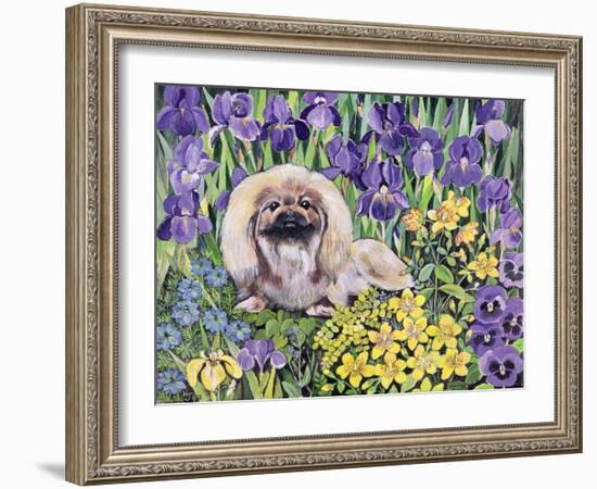 Peke in the Flower Bed-Hilary Jones-Framed Giclee Print