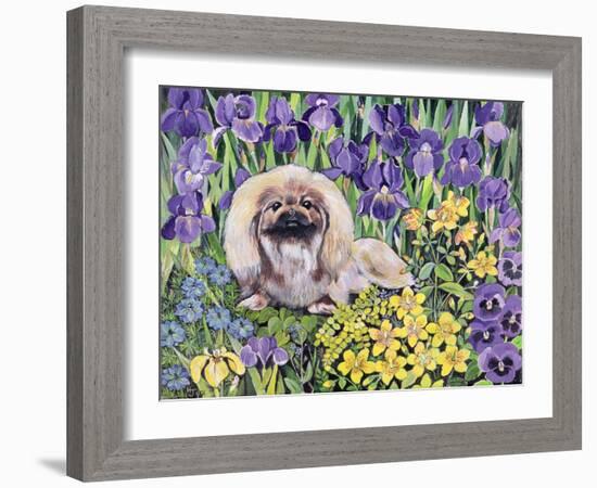 Peke in the Flower Bed-Hilary Jones-Framed Giclee Print