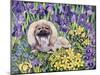 Peke in the Flower Bed-Hilary Jones-Mounted Giclee Print