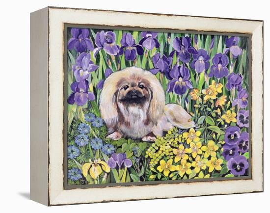 Peke in the Flower Bed-Hilary Jones-Framed Premier Image Canvas