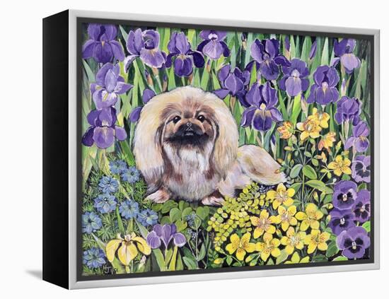 Peke in the Flower Bed-Hilary Jones-Framed Premier Image Canvas