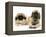 Pekingese and English Mastiff Puppies-Jane Burton-Framed Premier Image Canvas