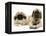 Pekingese and English Mastiff Puppies-Jane Burton-Framed Premier Image Canvas