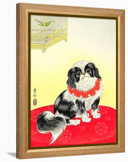 Pekingese Dog and Bush Warbler-Koson Ohara-Framed Premier Image Canvas