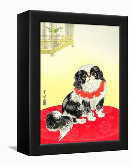 Pekingese Dog and Bush Warbler-Koson Ohara-Framed Premier Image Canvas