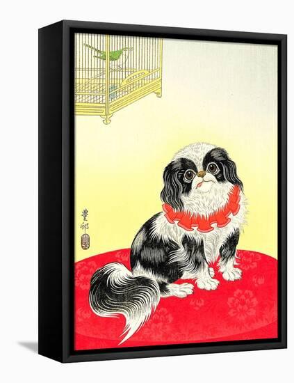 Pekingese Dog and Bush Warbler-Koson Ohara-Framed Premier Image Canvas