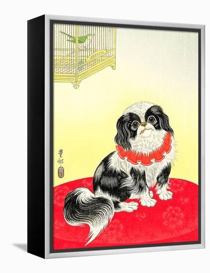 Pekingese Dog and Bush Warbler-Koson Ohara-Framed Premier Image Canvas