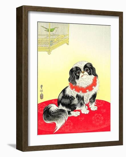 Pekingese Dog and Bush Warbler-Koson Ohara-Framed Giclee Print