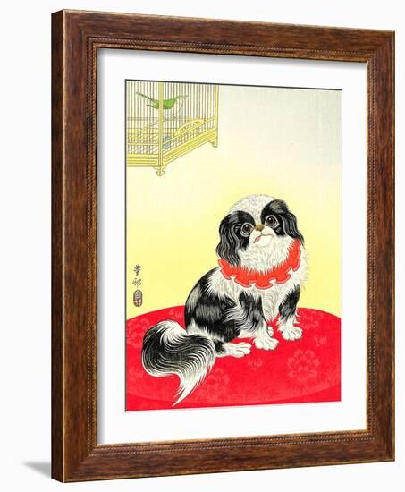 Pekingese Dog and Bush Warbler-Koson Ohara-Framed Giclee Print