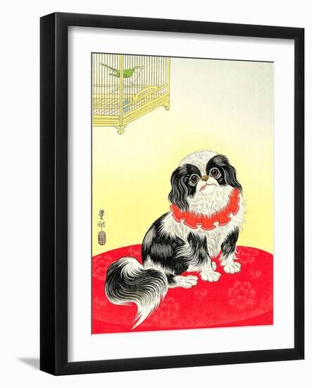 Pekingese Dog and Bush Warbler-Koson Ohara-Framed Giclee Print