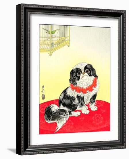 Pekingese Dog and Bush Warbler-Koson Ohara-Framed Giclee Print