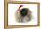 Pekingese in Christmas Hat-null-Framed Premier Image Canvas