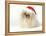 Pekingese in Christmas Hat-null-Framed Premier Image Canvas