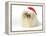 Pekingese in Christmas Hat-null-Framed Premier Image Canvas