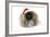 Pekingese in Christmas Hat-null-Framed Photographic Print