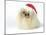 Pekingese in Christmas Hat-null-Mounted Photographic Print