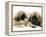 Pekingese Pup with English Mastiff Puppy-Jane Burton-Framed Premier Image Canvas