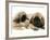 Pekingese Pup with English Mastiff Puppy-Jane Burton-Framed Photographic Print